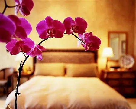 Davanzati Hotel Florencja